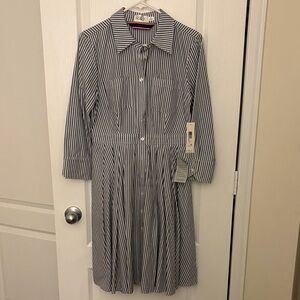 Eliza J Navy and White Striped  Dress